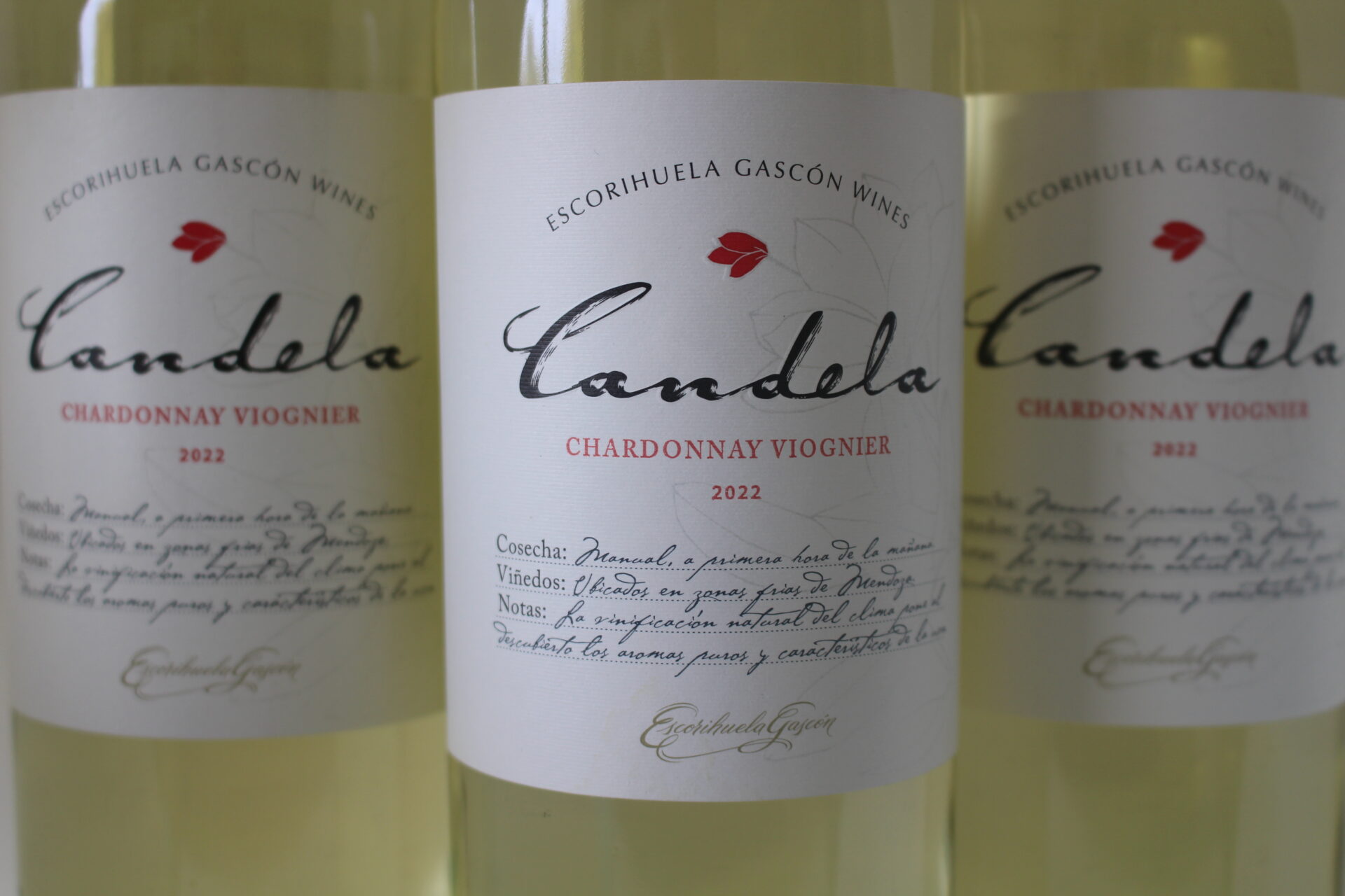 champagne en wijnen de blender Candela Chardonnay Viognier