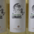 champagne en wijnen de blender Lunaris chardonnay torrontes