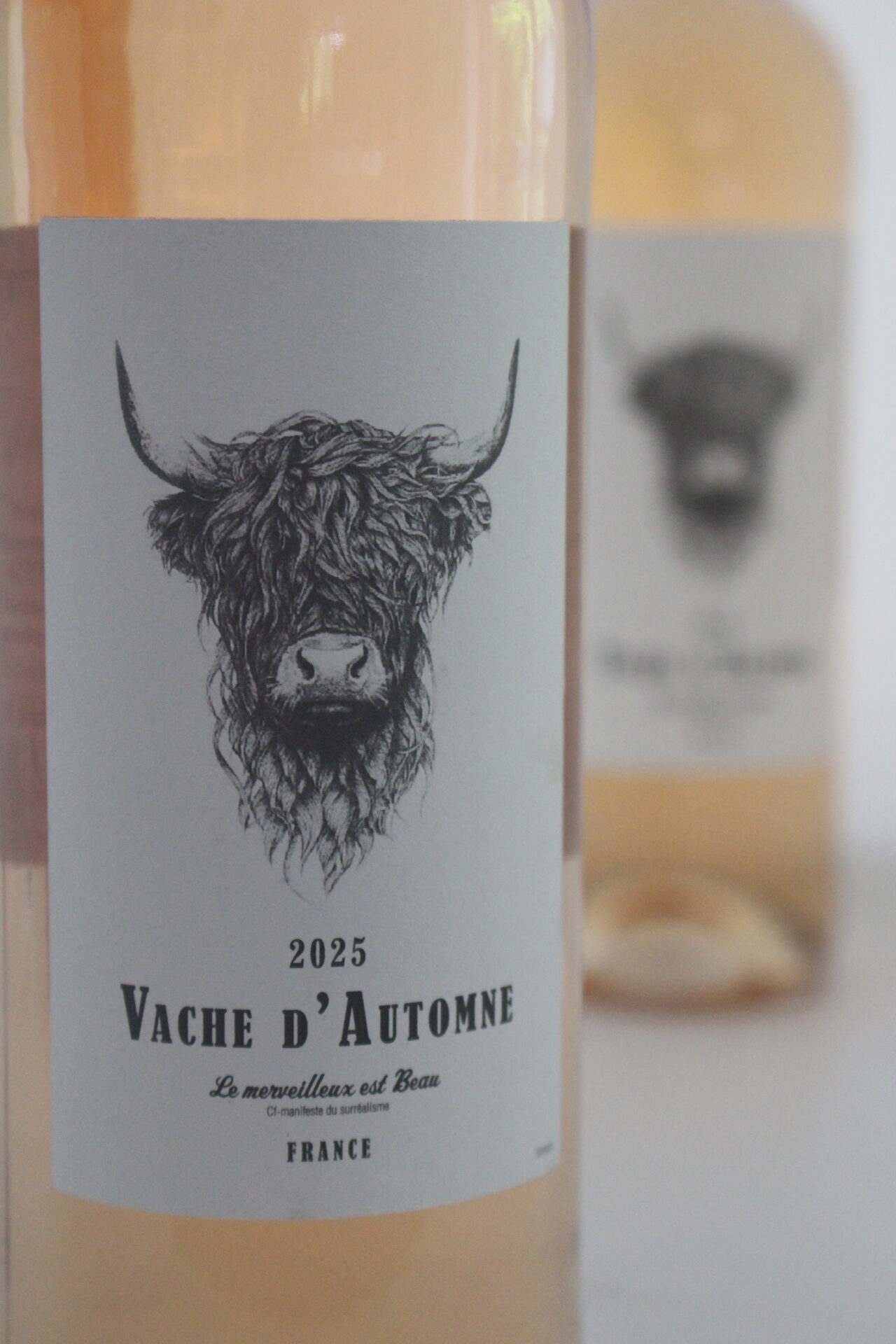 champagne en wijnen de blender Vache d'Automme Cinsault Rosé Pays d'OC
