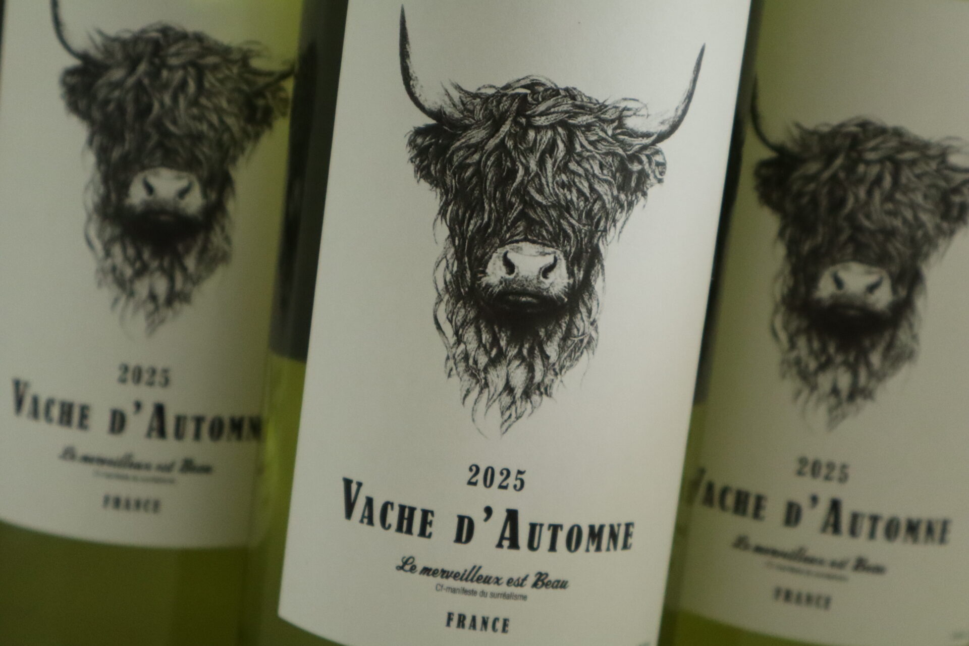 Champagne en wijnen de blender Vache d'Automme Colombard Chardonnay