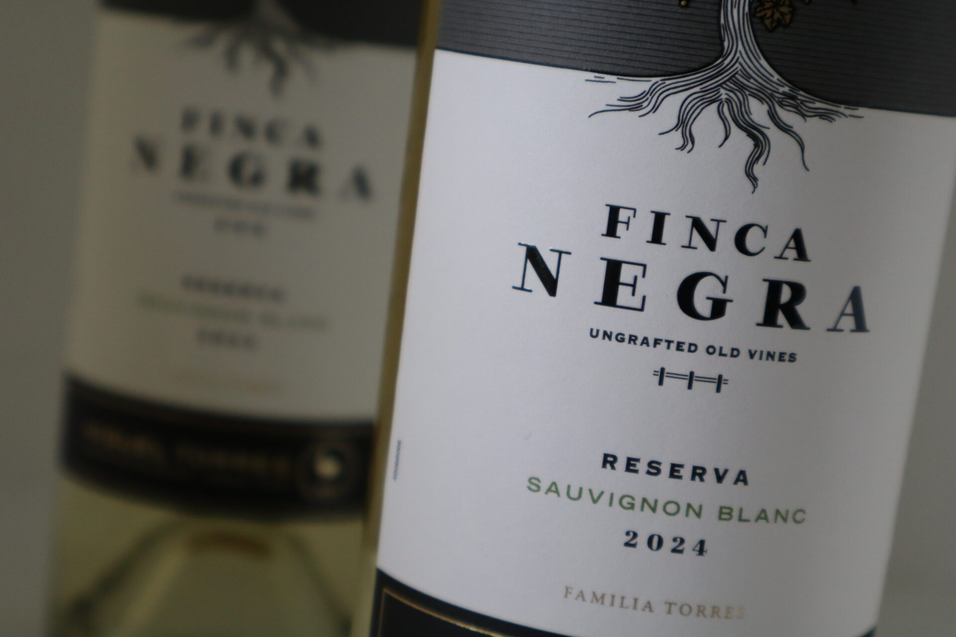 champagne en wijnen de blender Finca Negra Sauvignon Blanc Reserva