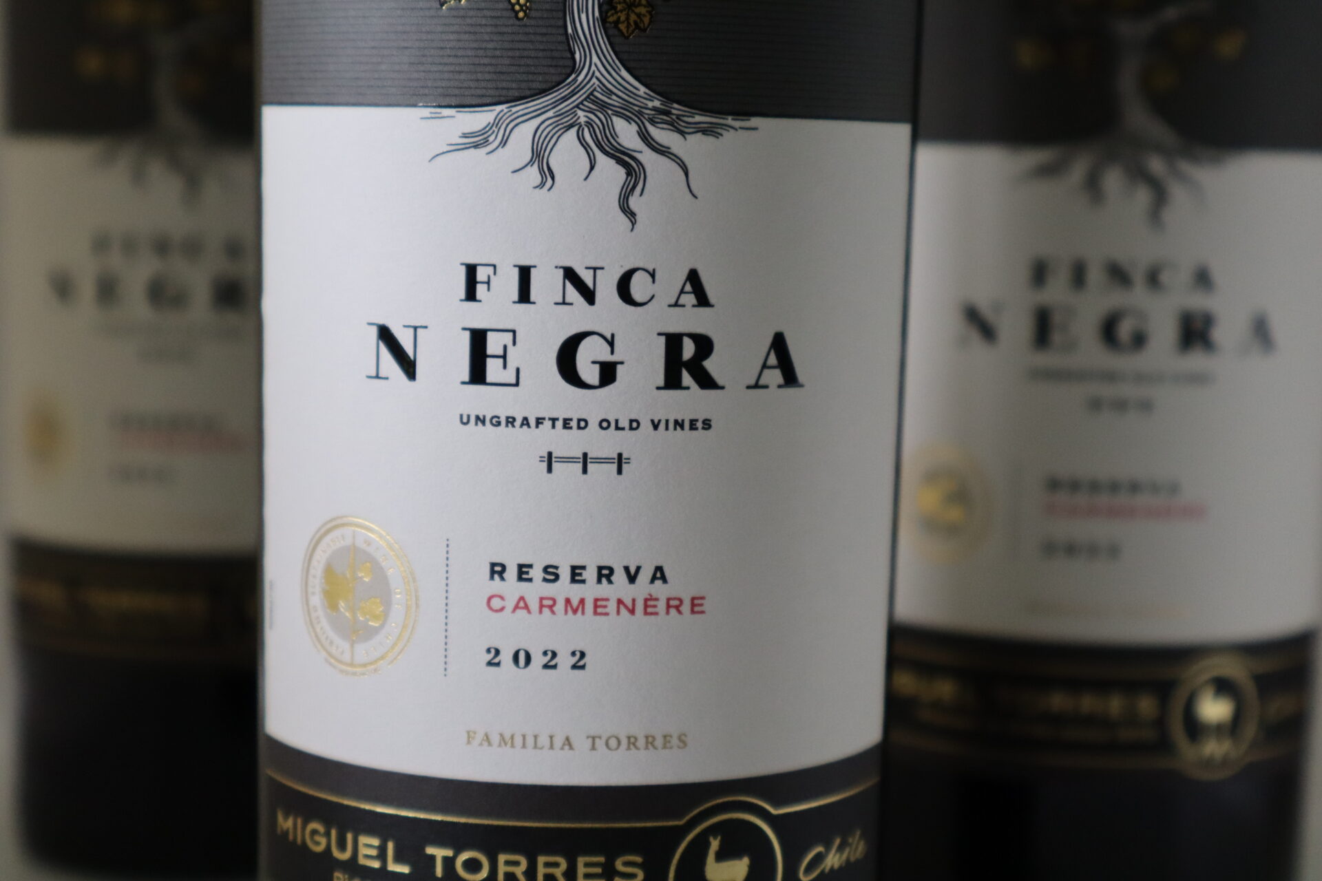 champagne en wijnen de blender Finca Negra Reserva Carmenere
