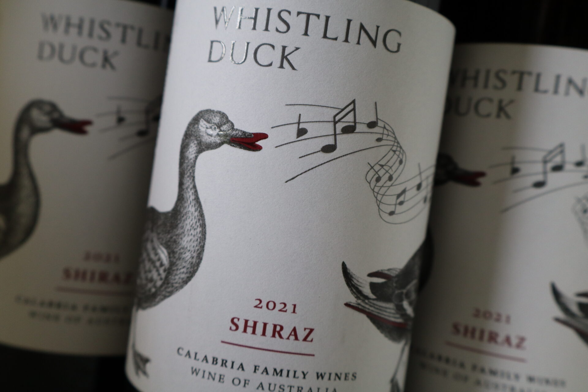 champagne en wijnen de blender Whistling Duck Shiraz