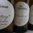 Champagne en wijnen De Blender St. Quirinus Planitzing Sauvignon Blanc DOC