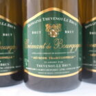 champagne-wijnen de blender Cremant de Bourgogne Thevenot-Le brun brut