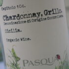 champagne-wijnen de blender Chardonnay-Grillo Organic wine