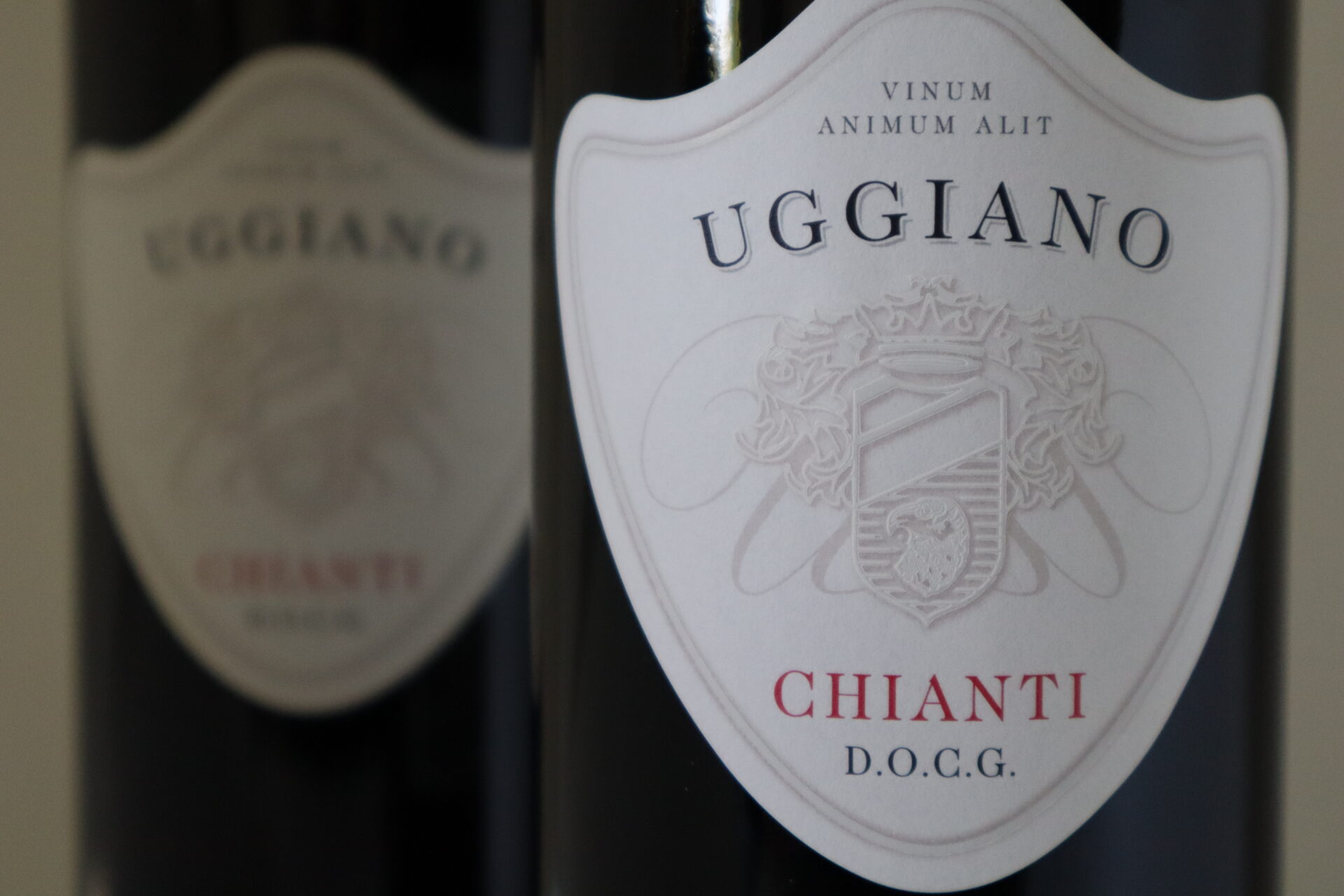 champagne en wijnen de blender Uggiano Chianti