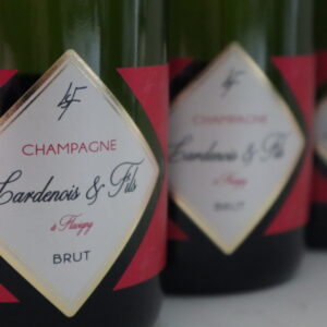 Champagne en wijnen de blender Champagne Lardenois & Fils