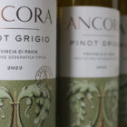 champagne en wijnen de blender Ancora Pinot Grigio IGT